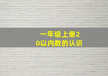 一年级上册20以内数的认识