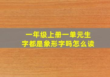 一年级上册一单元生字都是象形字吗怎么读