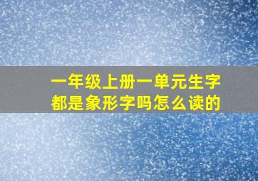 一年级上册一单元生字都是象形字吗怎么读的