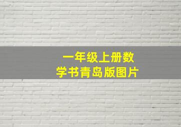 一年级上册数学书青岛版图片