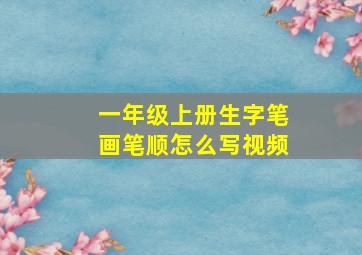 一年级上册生字笔画笔顺怎么写视频