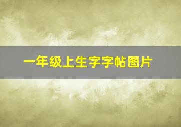 一年级上生字字帖图片