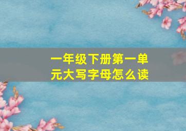 一年级下册第一单元大写字母怎么读