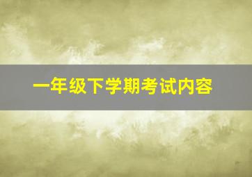 一年级下学期考试内容