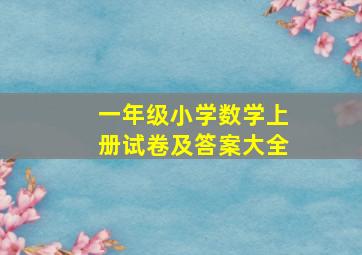 一年级小学数学上册试卷及答案大全