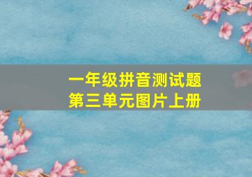 一年级拼音测试题第三单元图片上册