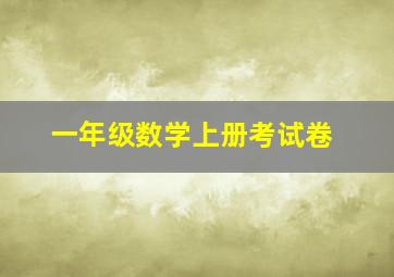 一年级数学上册考试卷