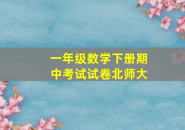 一年级数学下册期中考试试卷北师大