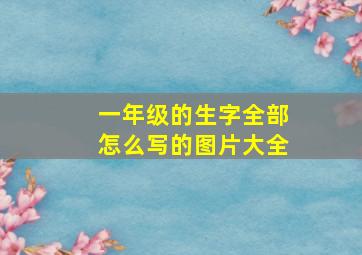 一年级的生字全部怎么写的图片大全