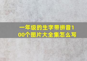 一年级的生字带拼音100个图片大全集怎么写