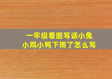 一年级看图写话小兔小鸡小鸭下雨了怎么写