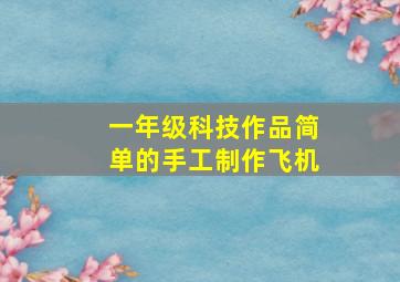 一年级科技作品简单的手工制作飞机