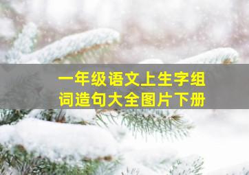 一年级语文上生字组词造句大全图片下册