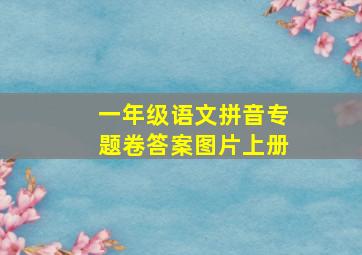 一年级语文拼音专题卷答案图片上册