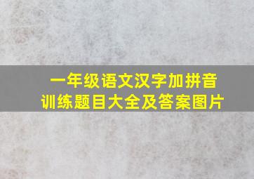 一年级语文汉字加拼音训练题目大全及答案图片