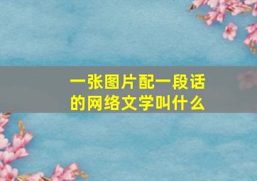 一张图片配一段话的网络文学叫什么