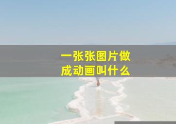 一张张图片做成动画叫什么