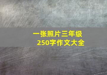 一张照片三年级250字作文大全