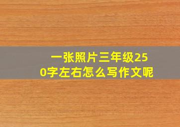 一张照片三年级250字左右怎么写作文呢