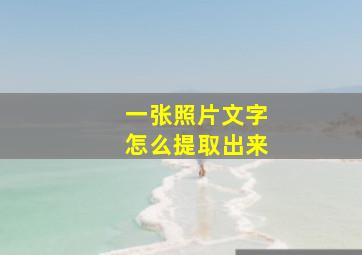 一张照片文字怎么提取出来