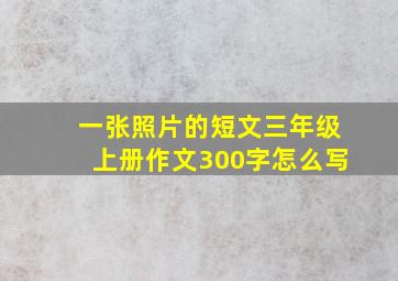 一张照片的短文三年级上册作文300字怎么写