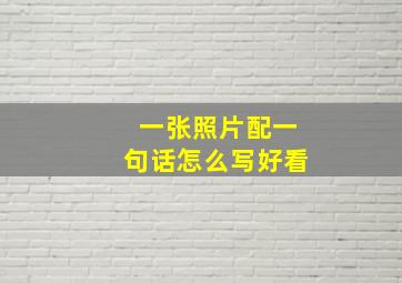 一张照片配一句话怎么写好看