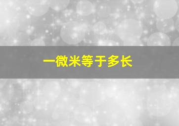 一微米等于多长