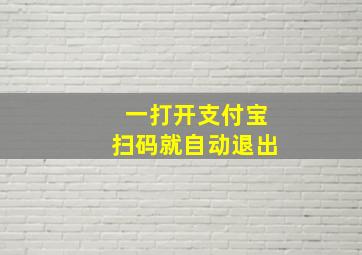 一打开支付宝扫码就自动退出