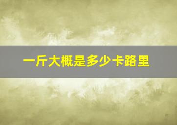 一斤大概是多少卡路里