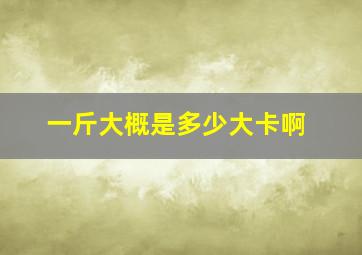 一斤大概是多少大卡啊