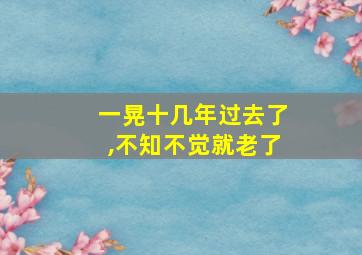 一晃十几年过去了,不知不觉就老了