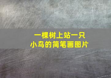 一棵树上站一只小鸟的简笔画图片