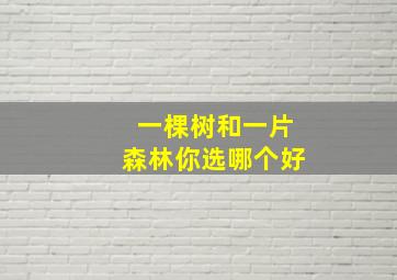 一棵树和一片森林你选哪个好