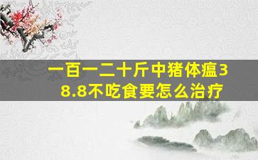 一百一二十斤中猪体瘟38.8不吃食要怎么治疗