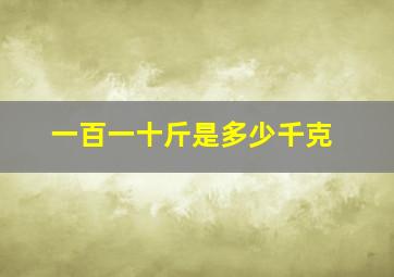 一百一十斤是多少千克