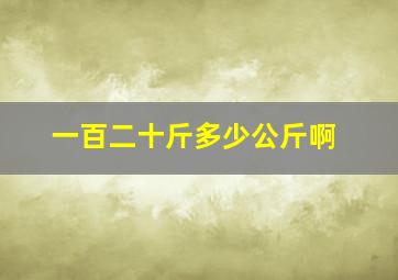 一百二十斤多少公斤啊