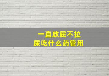 一直放屁不拉屎吃什么药管用