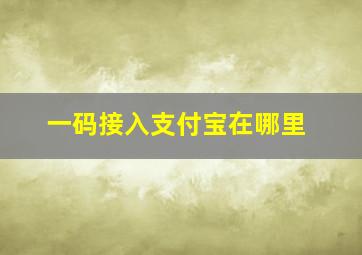 一码接入支付宝在哪里