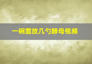 一碗面放几勺酵母视频