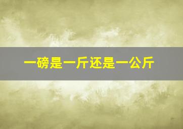 一磅是一斤还是一公斤