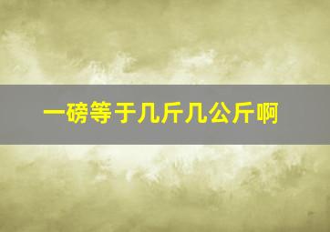 一磅等于几斤几公斤啊