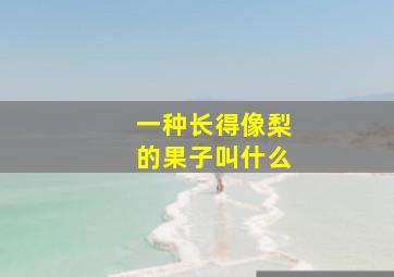 一种长得像梨的果子叫什么