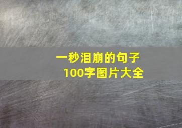 一秒泪崩的句子100字图片大全