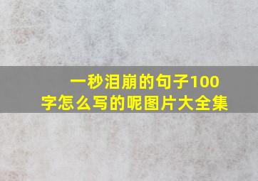 一秒泪崩的句子100字怎么写的呢图片大全集