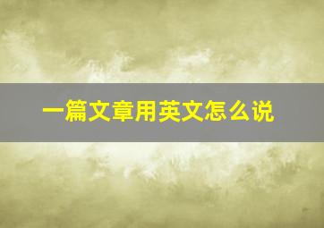 一篇文章用英文怎么说