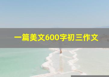 一篇美文600字初三作文