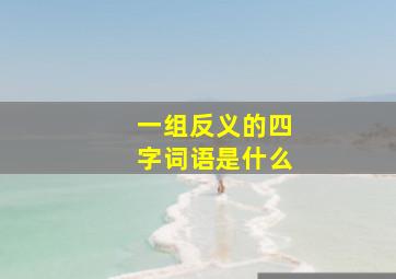 一组反义的四字词语是什么