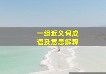 一组近义词成语及意思解释