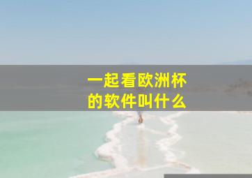 一起看欧洲杯的软件叫什么