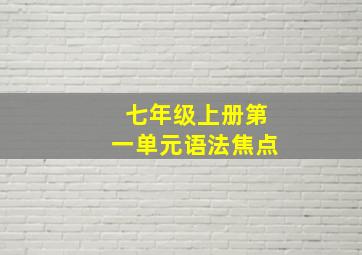 七年级上册第一单元语法焦点